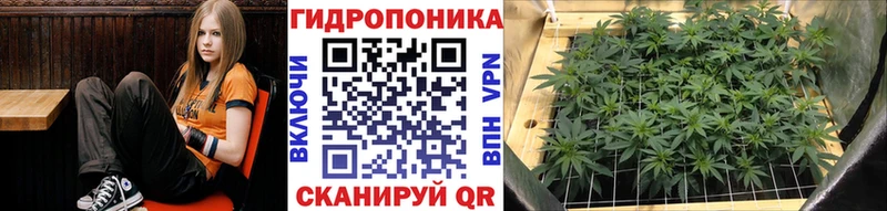 Названия наркотиков Верхний Тагил Метадон COCAIN Гашиш ссылка на мегу ссылки Alpha-PVP Бошки Шишки