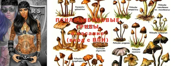 экстази Беломорск