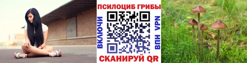 Псилоцибиновые грибы Cubensis Верхний Тагил